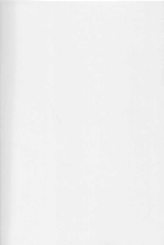 (COMIC1☆9) [Momoshiba Anzu (Nafutan)] Joou no Tashinami (Zero no Tsukaima)_26