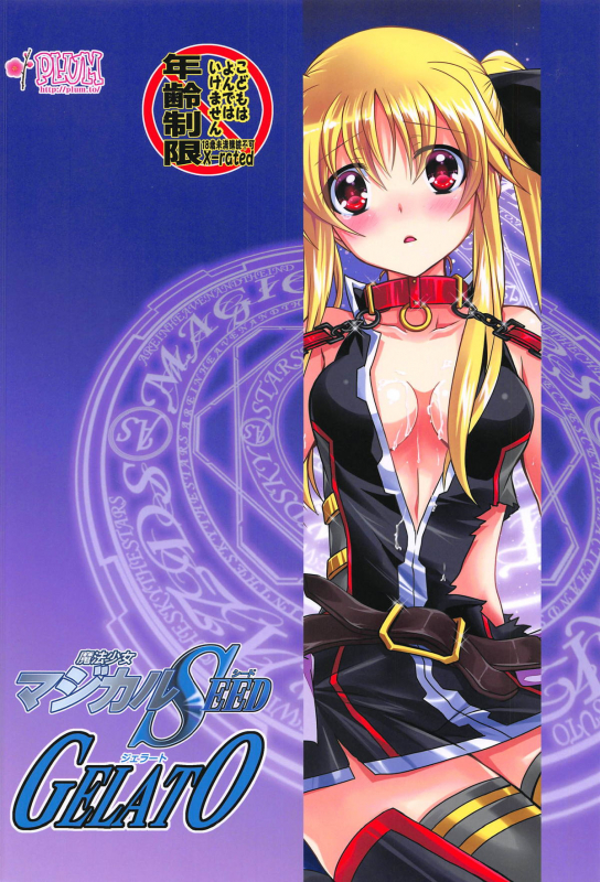 (Lyrical Magical 26) [PLUM (Kanna)] Magical SEED GELATO (Mahou Shoujo Lyrical Nanoha)_17