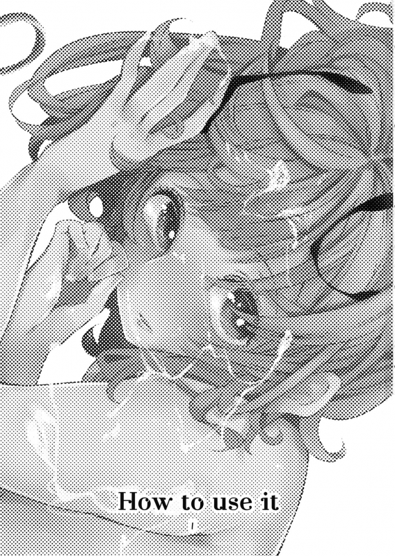 (Reitaisai 16) [Schwarz Libelle (Sisakugata)] Wakka no Tsukaikata. (Touhou Project)_01