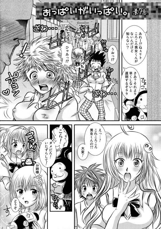 [Setsugetsuka (Fuyukawa)] Toratora 9 (To LOVE-Ru)_13