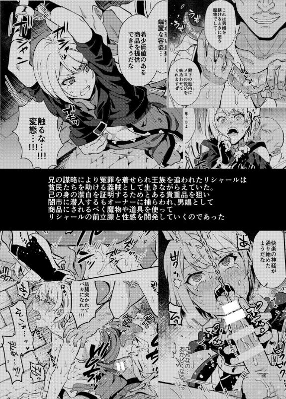 [Usamimi Syndrome (Erutasuku)] Kedakaki Gizoku wa Kainarasarenai Yami Auction Shuppin Hen [Digital]_01