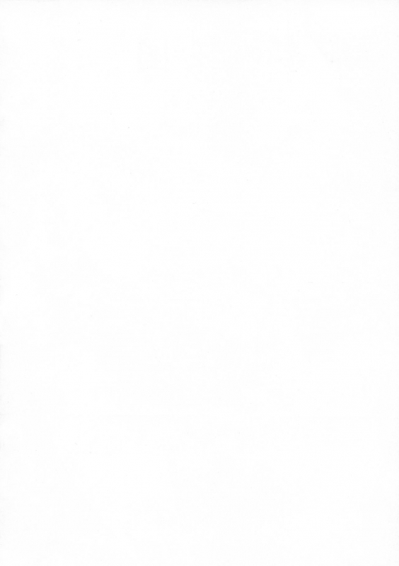 (C91) [Chrono Mail (Tokie Hirohito)] Kyouki no Oukoku I_03