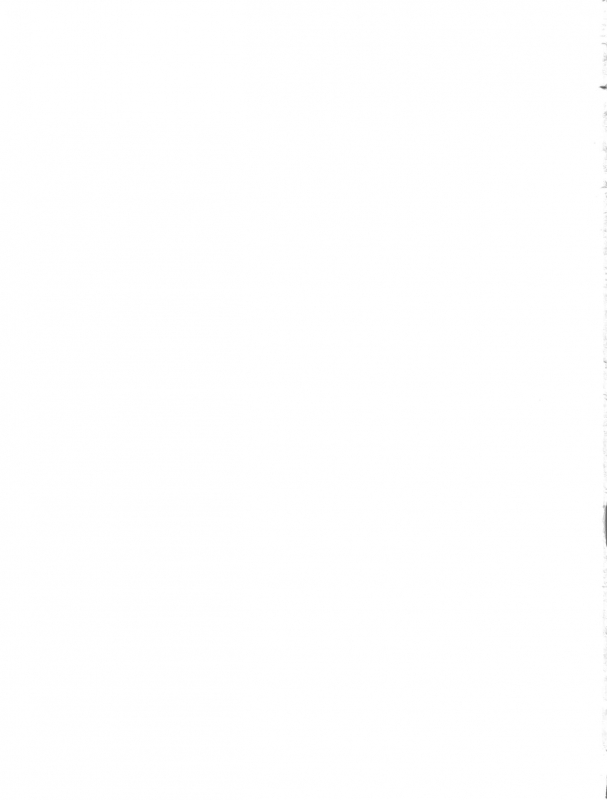 (COMIC1☆9) [Tsurikichi Doumei (Umedama Nabu)] Danmach_22