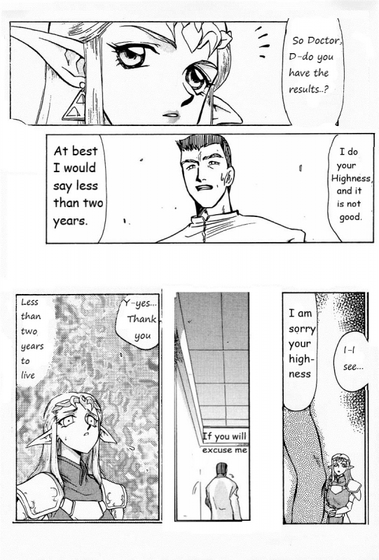 Legend of Zelda; Zelda's Strive (Rewrite)_02