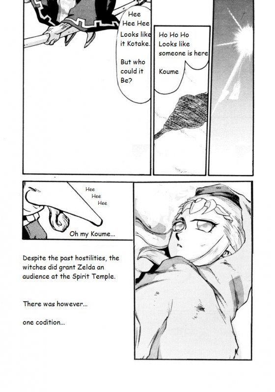 Legend of Zelda; Zelda's Strive (Rewrite)_13