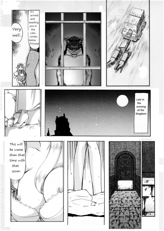 Legend of Zelda; Zelda's Strive (Rewrite)_30