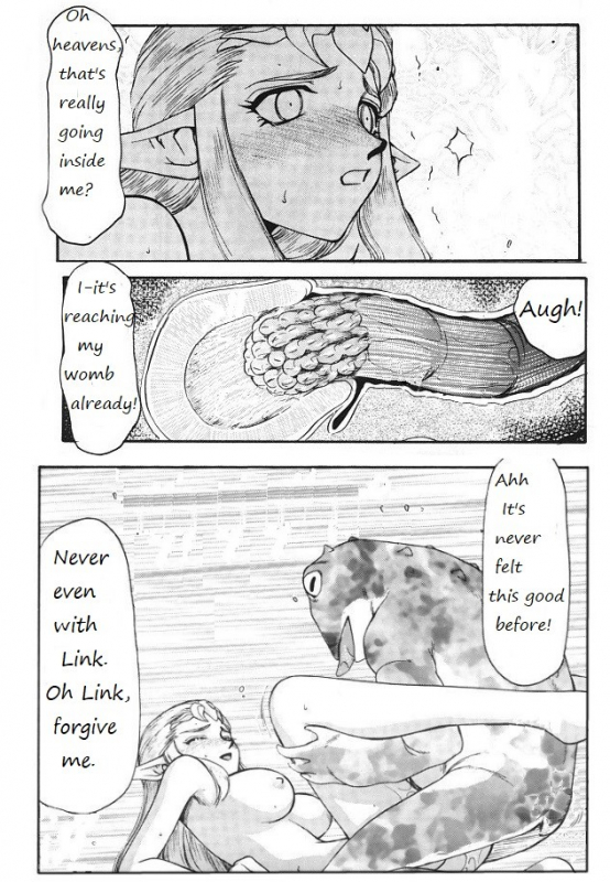 Legend of Zelda; Zelda's Strive (Rewrite)_35