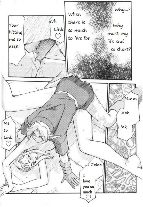 Legend of Zelda; Zelda's Strive (Rewrite, Ongoing)_08