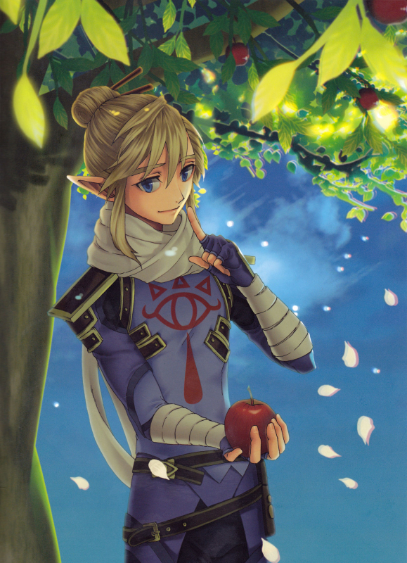 (ALL STAR 9) [MYLAB (Shiroa Urang)] βLupi (The Legend of Zelda) [English]_18