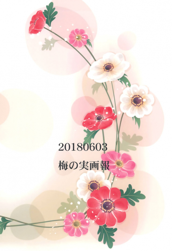 (Bokura no Love Live! 19!) [Umenomi Gahou (Umekiti)] Himitsu Gokko (Love Live!) [English] [_25