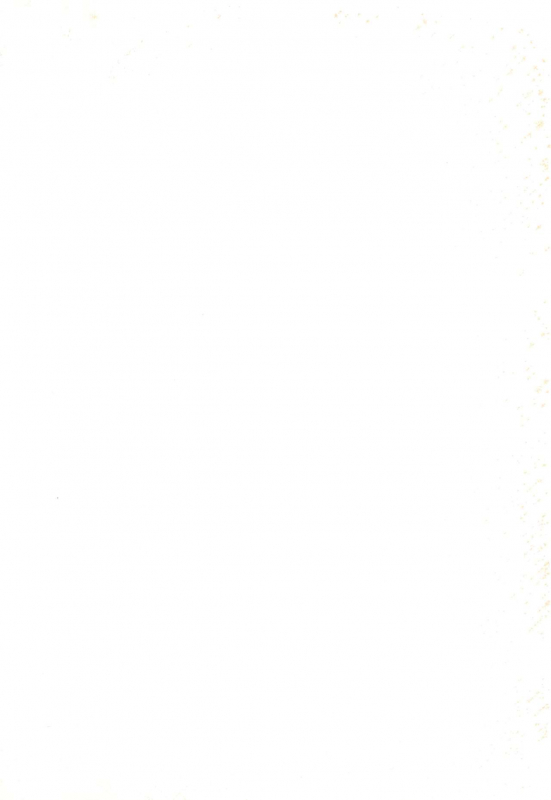 (C57) [Bikkuri Gyouten (Various)] LITTLE LADY (Digimon Adventure) [English] [TSHH]_01