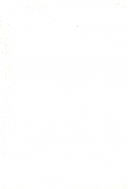 (C57) [Bikkuri Gyouten (Various)] LITTLE LADY (Digimon Adventure) [English] [TSHH]_30