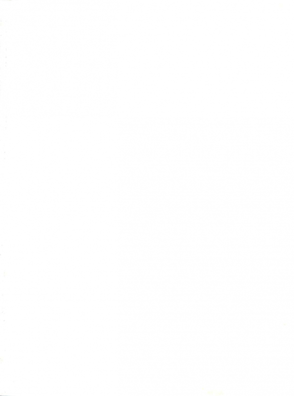 (C63) [Gambler Club (Kousaka Jun)] Cattleya Nee-chan Daikatsuyaku!! (Groove Adventur_01