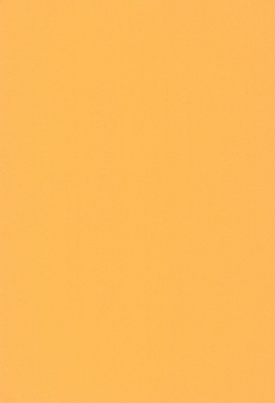 (C52) [Tsurupeta Kikaku (Yokonyan)] Petapeta 4_02