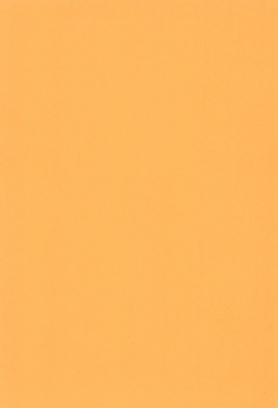 (C52) [Tsurupeta Kikaku (Yokonyan)] Petapeta 4_03