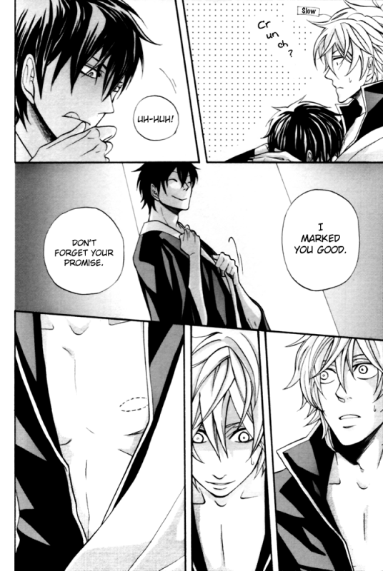 (C72) [Kokorozashi (Yukue Moegi)] Shirushi (Gintama) [English] {Silver Soul} [Incomplete]_17