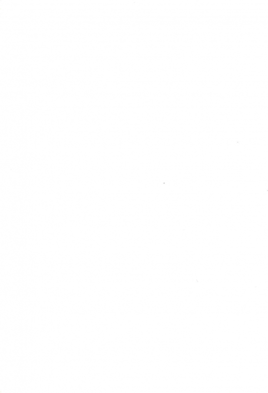 (C57) [Yonakiya (MIYA)] Akai Youran -A Red Cradle-_38