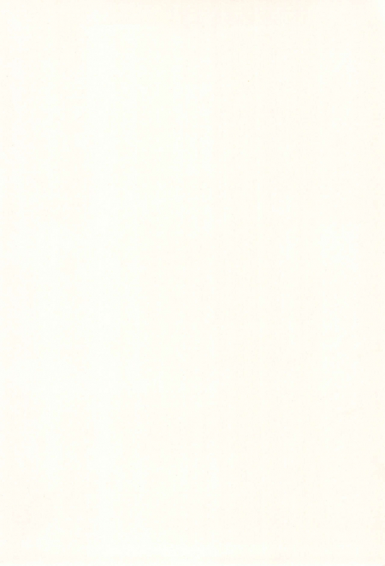 (C57) [multi★task! (Takeyabu)] ECO Millennium!! (Ecoko)_33