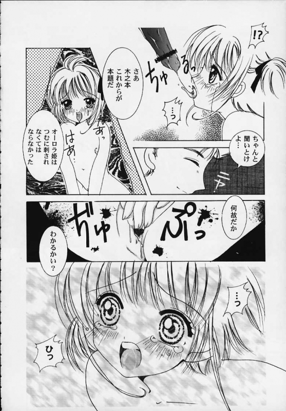 (C58) [APRICOT PIE (Miyake Hikaru)] Apricot Collection (Cardcaptor Sakura)_09