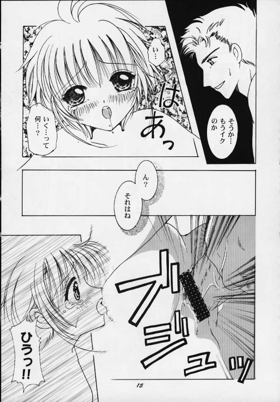 (C58) [APRICOT PIE (Miyake Hikaru)] Apricot Collection (Cardcaptor Sakura)_12
