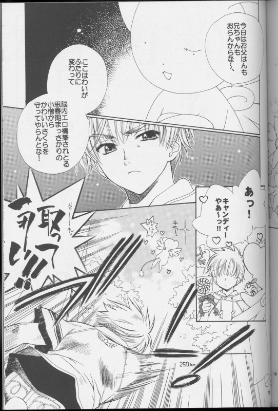 (C64) [Totsugeki Wolf (Yuuki Mitsuru)] Sakura Sakura (Cardcaptor Sakura)_14