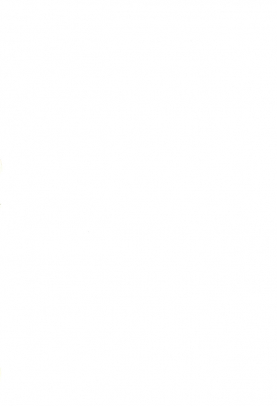 (C65) [Tenny Le Tai (Various)] Loli Neko HARD_01