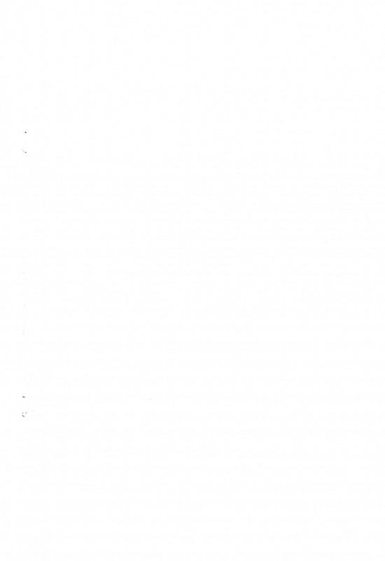 (C66) [Hired Girl (Equal)] chimachima_01