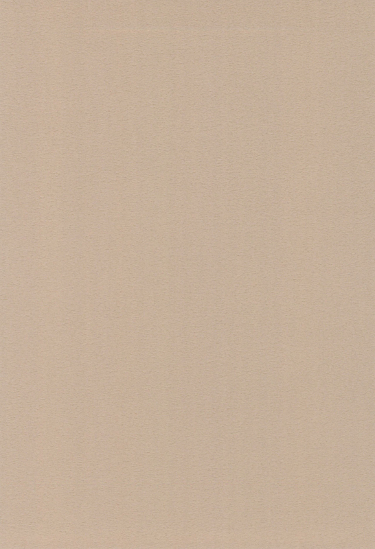 (C66) [Tenny Le Tai (R-Koga)] P-ZONE_01