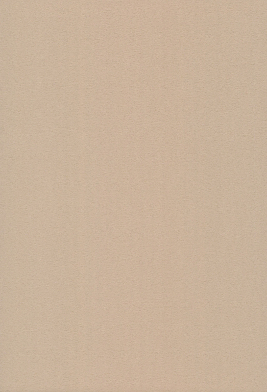 (C66) [Tenny Le Tai (R-Koga)] P-ZONE_10