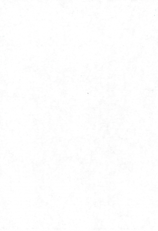 (C66) [Tenny Le Tai (Various)] Loli Neko HARD II_02