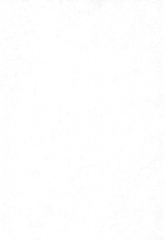 (C66) [Tenny Le Tai (Various)] Loli Neko HARD II_03