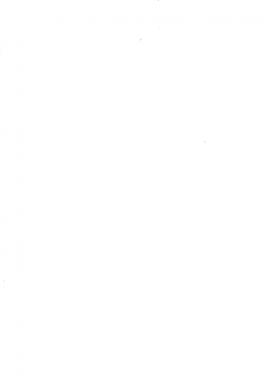 (C67) [Tenny Le Tai (Various)] You Neko Fundoshi_02