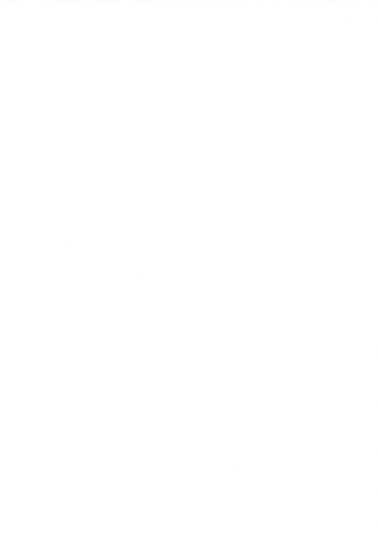 (C67) [Tenny Le Tai (Various)] You Neko Fundoshi_03