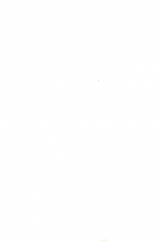 (C67) [Tenny Le Tai (Various)] You Neko Fundoshi_52