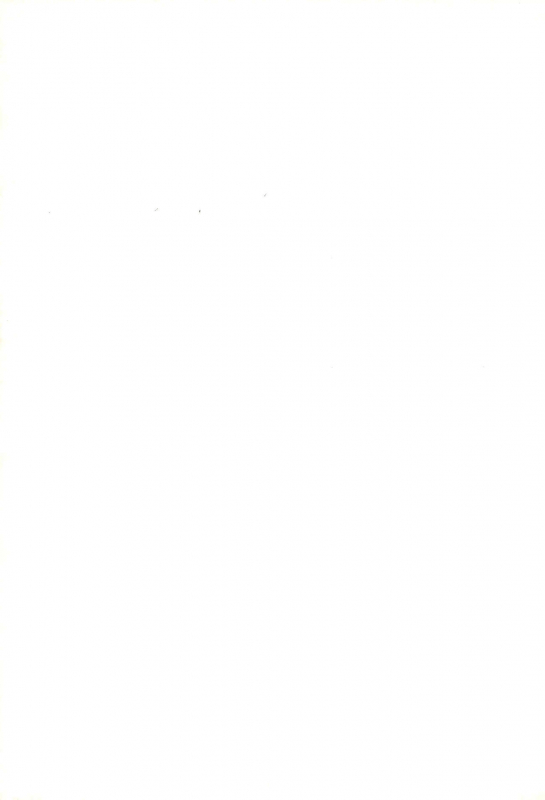 (C68) [Tenny Le Tai (Various)] Hironeko_38