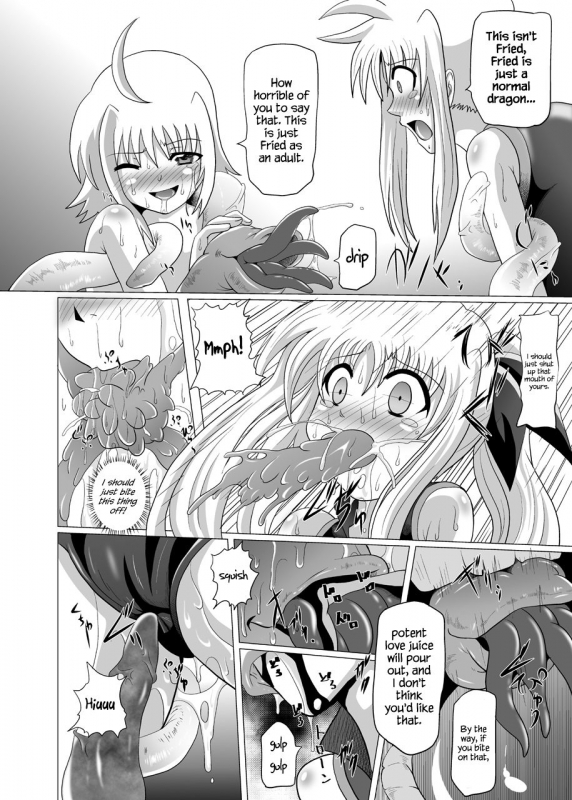 (C76) [Kurodamaya (Akadama)] Rokka Kaimetsu ~Mikkame~ (Mahou Shoujo Lyrical Nanoha) [Englis_28