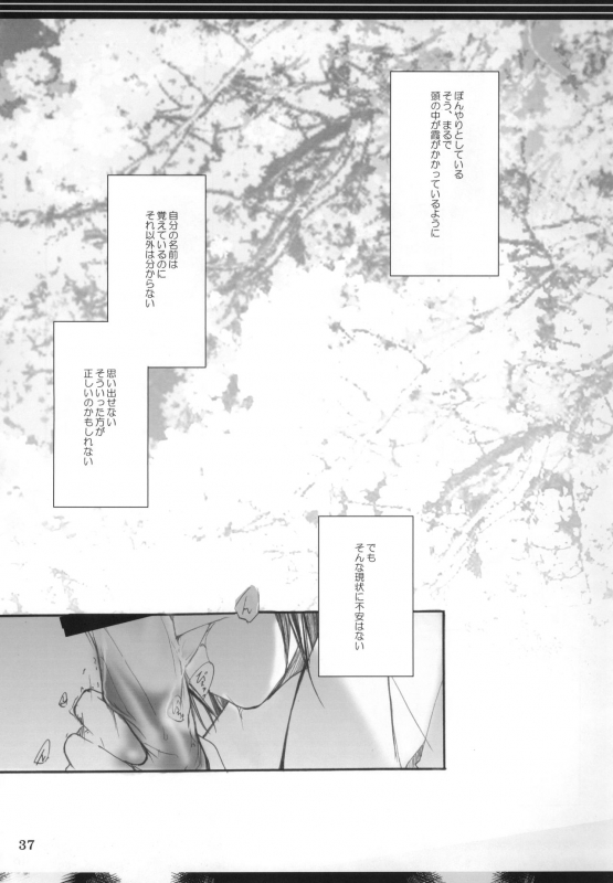 (C72) [1019 (Kiyokawa Tsuneaki)] Goodbye Halo (BLEACH)_35