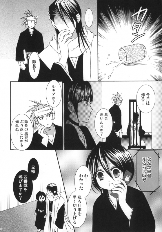 (C74) [Dew Drop (Sakurai Kouki)] Fruits Clipper! (BLEACH)_04