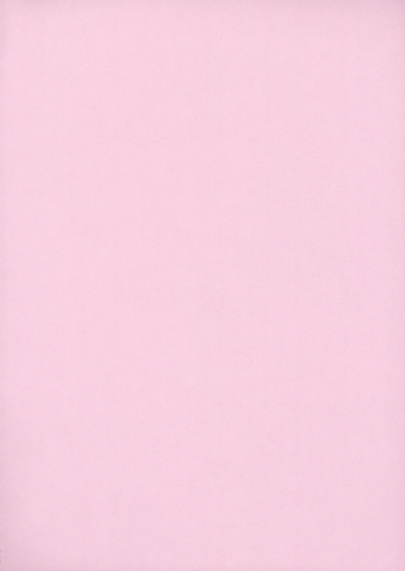 (C75) [Poiyo Dimension (Meguro Linu)] Koiro-chan ga Osouji Bon_03