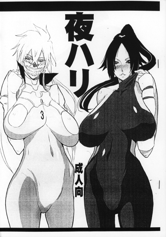 (C75) [VARIABLE (Yukiguni Eringi)] Yoru Hari (BLEACH)_0