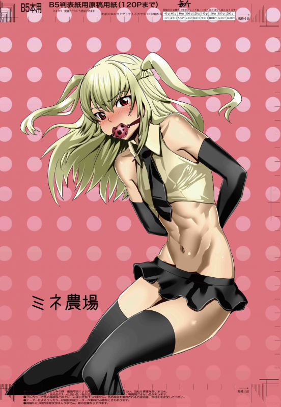 (C80) [Mine Noujou (Kirsi)] Inran Seibo Mariya-sama  The Holy Slut, _00