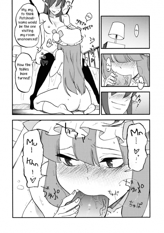 (C80) [Shironegiya (miya9)] Waisetsu Toshokan (Touhou Project) [English] [Samachan]_21