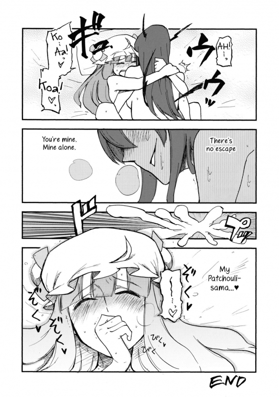 (C80) [Shironegiya (miya9)] Waisetsu Toshokan (Touhou Project) [English] [Samachan]_23