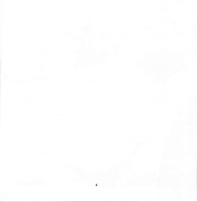 (C81) [Magudara K_02