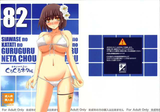 (C82) [Shiawase Kyouwakoku (Shiawase no Katachi)] Shiawase no Katachi no Guruguru Net_00