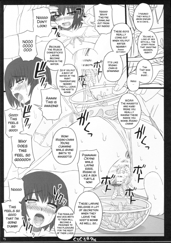 (C82) [Shiawase Kyouwakoku (Shiawase no Katachi)] Shiawase no Katachi no Guruguru Net_14