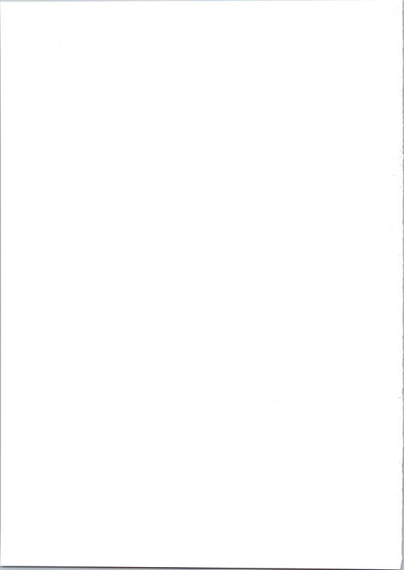 (C96) [Gambler Club (Kousaka Jun)] Star Twinkle PuniCure 2 (Star Twinkle Pretty Cure)_22