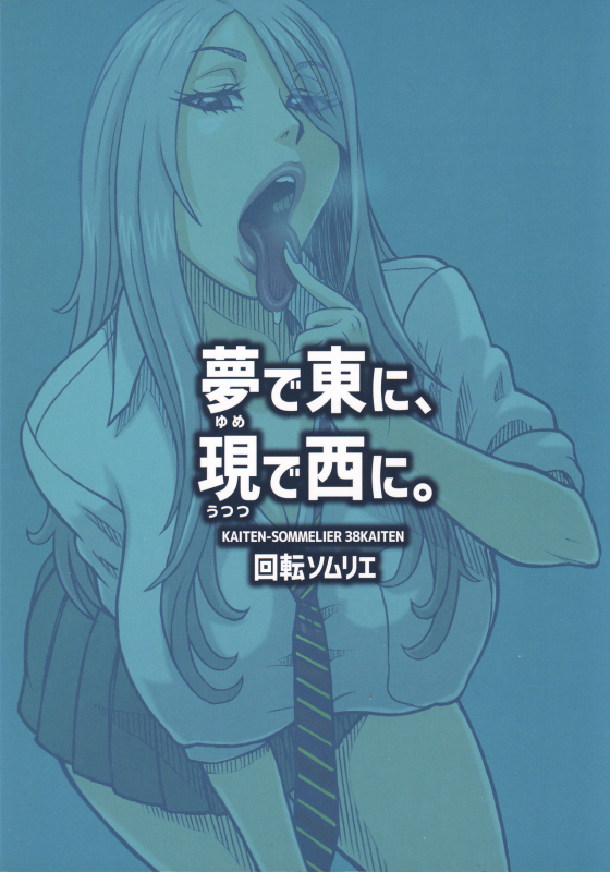 (C96) [Kaiten Sommelier (13.)] Yume de Higashi ni, Utsutsu de Nishi ni._17