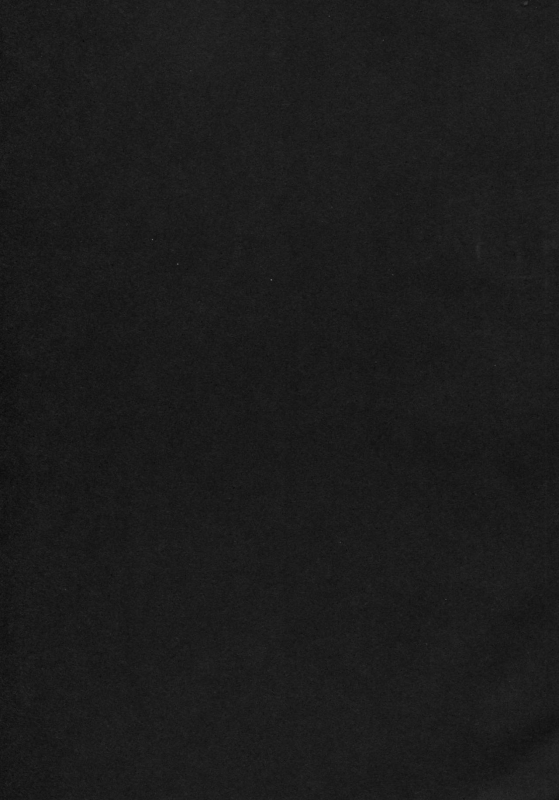 (C85) [AHOBAKA (Aho)] Aisuru Hinba ga Tanetsuke Sarete [English] [Decensored] {SaHa+Hennojin}_34