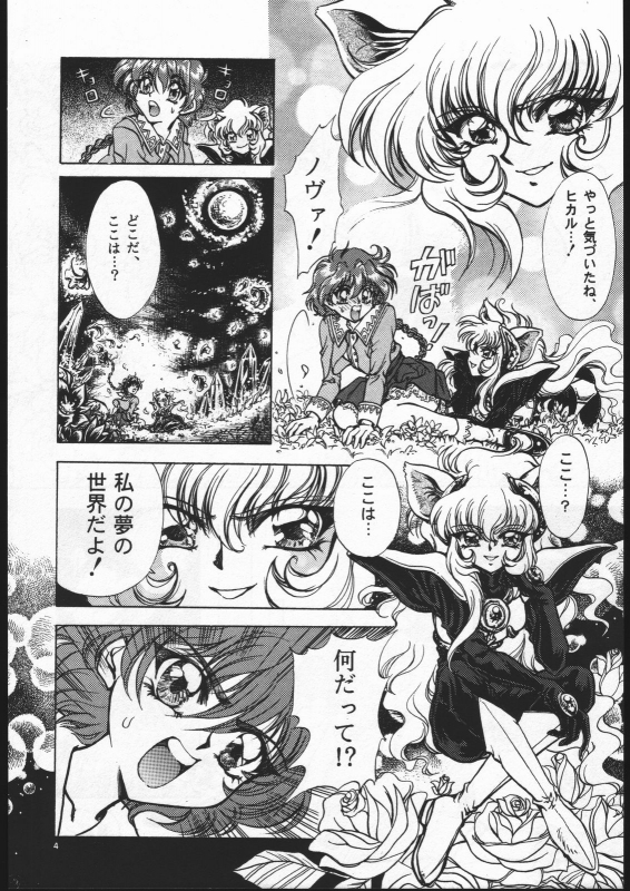 (C52) [Goutokuji Konzern (Bakkon Tamago, Maririn Anaka)] Rose Pink (Magic Knight Rayearth)_02